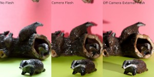 Lighting Comparison badgers
