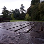 Single Exposure of Table